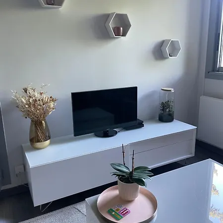 דירה T2 Cosy - Balcon En Rdc - Jardin A 2 Min קלרמונט-פרנד